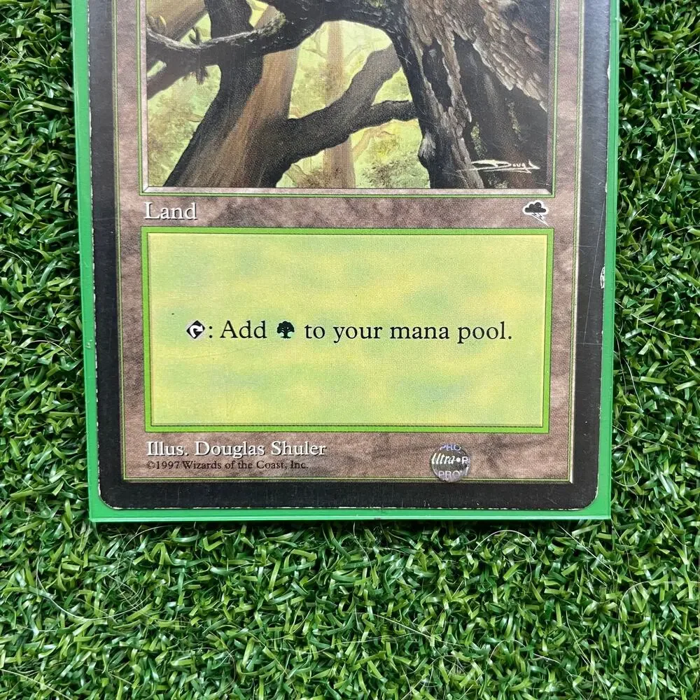 MTG Forest 1997 Douglas Shuler Art Vintage Basic Land Magic Card LP